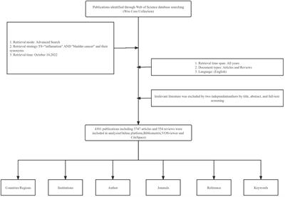 Inflammation-related research within the field of bladder cancer: a bibliometric analysis